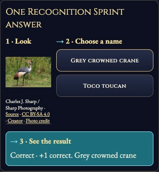 Worked example for Bird Arena