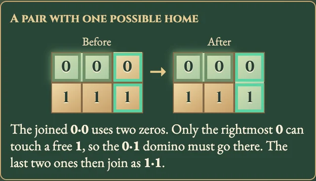 Worked visual example for Dominosa